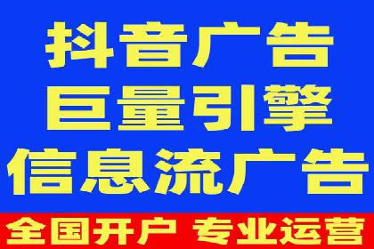 竞价广告与自然搜索的结合策略：XX网站的案例分析
